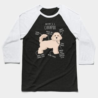 Cavapoo Dog Anatomy Baseball T-Shirt